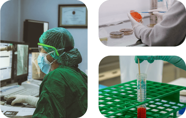 Lab Processing